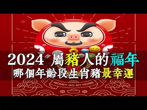 1971屬豬幸運數字|【1971屬豬幸運數字】1971屬豬幸運數字：解開豬年財運的秘。